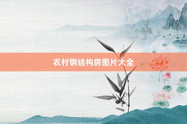 农村钢结构房图片大全