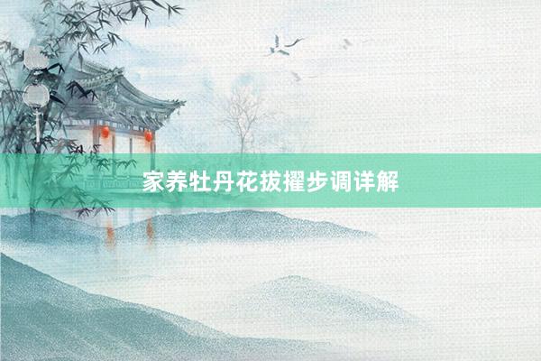 家养牡丹花拔擢步调详解